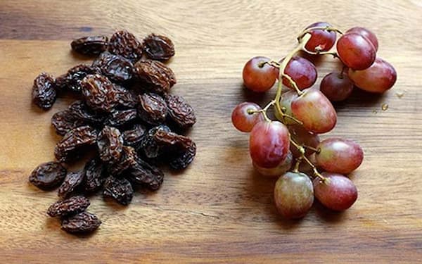 تصویر 1 از خرید کشمش فخری شیراز + قیمت فروش استثنایی